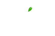 orito-verde