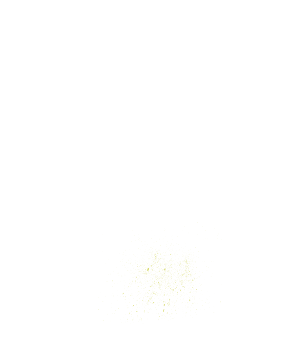 polvo-54