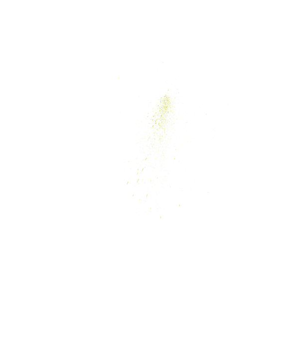polvo-54