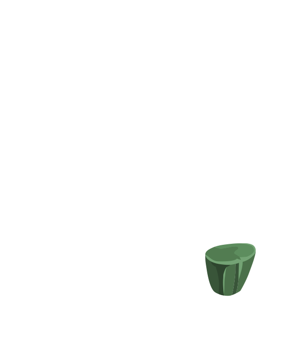 roca-2